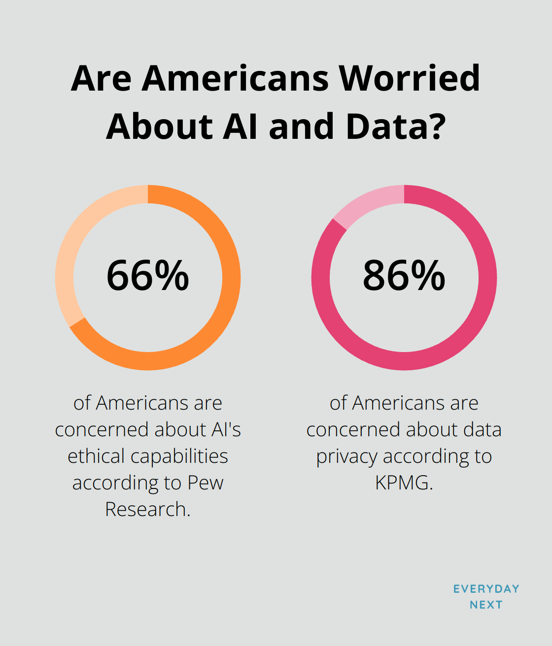 Infographic: Are Americans Worried About AI and Data?
